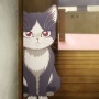 猫に○○をかぶせてみた結果ｗｗｗｗ「妙に神々しいわ…」「猫は偉大である」