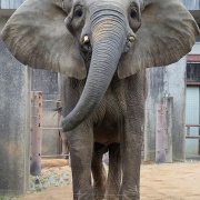 激怒プンプン丸な姉妹
