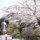 『鎌倉の花々　１　日蓮上人像』の画像