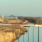 らいおんはーと