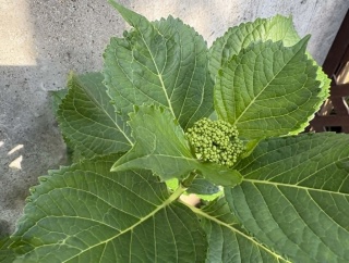 4月も終わりです
