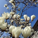 いつもの歩き路