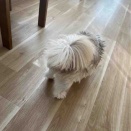 新しく行く目の病院