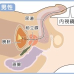 海彦・山彦の白秋日記
