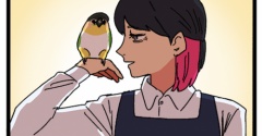 ぽぴ君はさ 田舎のインコと都会のインコ……どっちがいい？