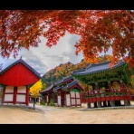 "Maeil Jeongjin日々精進"韓国旅とsoccer人生”