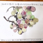 季節の風の中で