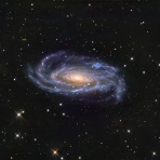 ninzyaの星見