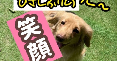 モコちゃん久しぶりの外出。回復速度は爬虫類並み。