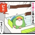 【省エネの日記】🦜そこに居るなら構ってよ！