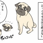 ひかさん一家でゴゴッゴッー！