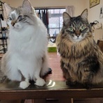 我が家のおでかけ帳