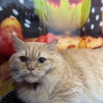 ズーズーカンパニー スタッフブログ