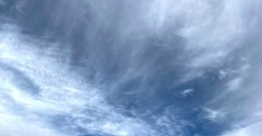 ありがとうございました