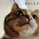 誰か嘘と言って…凛さんのお尻