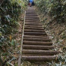 辰之介の日々 小達磨山（家に来て4774日目）