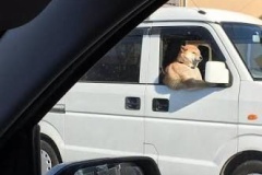 運転するなや！って思う奴の特徴