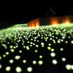 ひろちん☻の    ザ.韓国珍道中❗️