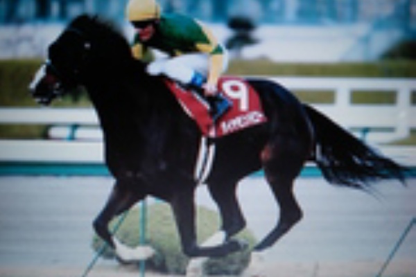 栄光の名馬 深オーナー