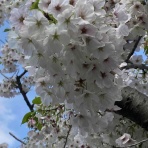 John-Tの勝手にblog