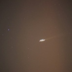 鳥啼魚