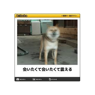 『【速報】平成最後の歌姫、西野カナが活動休止を発表ｗｗｗｗｗｗｗｗｗｗｗｗ 	』の画像