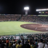 『虎の贔屓の引き倒し』の画像