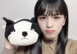 【乃木坂46】乃木メン所有のぬいぐるみ…どれが一番すこ？