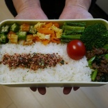 『2023/6/7のパートナーの相棒のボリューミーお弁当 【#お弁当】【1890個目】』の画像