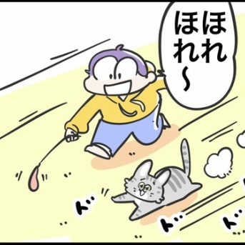 新人猫との距離