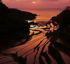 町長の弟の建設会社が九電から54億円受注した問題や町職員の逮捕・懲戒免職が生じる深い闇の玄海町