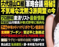 【悲報】山川穂高さん、軟式野球に転向へｗｗｗｗｗｗｗｗｗｗｗｗ