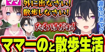 【ぶいすぽ】外に出なさすぎて家が近いひなーのに散歩に連れ出してもらいたいのせさん