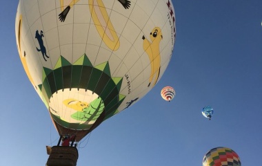�غ��쥤�󥿡��ʥ���ʥ�Х롼��ե�����  ����ס٤β���