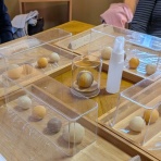 天然食材探しへ近くに気軽に出かけよう！