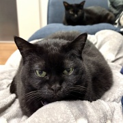 毎日スミちゃんの視線を感じてる