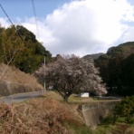 福岡発！タクシードライバーの登山日誌