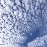 『メンタルが弱いと思っている普通の人へ』の画像