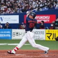村上宗隆、7試合で3本ｗｗｗｗｗｗｗｗｗｗｗｗｗｗｗ