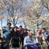 �ؾд�餯���ָ�����🌸�٤β���