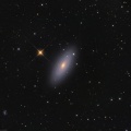 おおぐま座　NGC2841