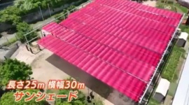 【原価厨】幼稚園の園庭にある日よけが4000万円すると話題に…ネット「ダイソーの防草シートと釣り糸使えば1万円でできるやろぅ勢がいて震えてる」