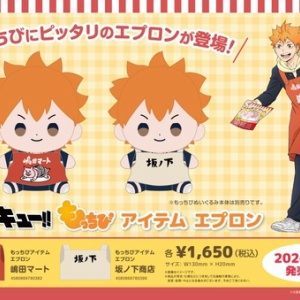 12月23日受注開始 JCS限定 『ハイキュー!!』アクリル“X”フィギュア