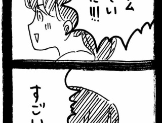 ドワーフキャットタオルちゃん最終話
