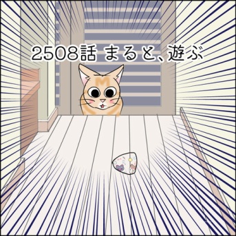 あんこ＆麦2508 まると、遊ぶ