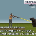 【例題画像】役所「緊急銃猟の手順確認しましょう。クマに出くわした場合は2mまで近づいて弱装弾で撃ち殺す」