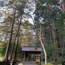 ■⛩️『武芸八幡宮（武芸八幡神社）』神様を感じる森に包まれた静寂の参道（岐阜県関市）