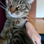 だいじろう日和。