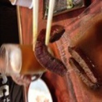 ハレンチブレックファーストですか？