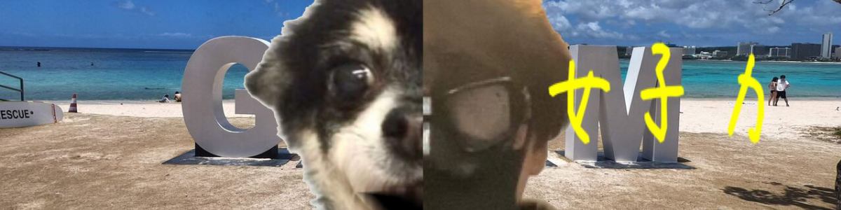 玉袋 血が止まらない 海外旅行 Hfdトラベルtv フリーダイバーblog